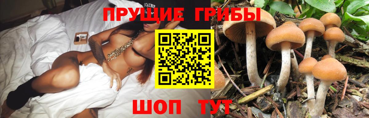 Галлюциногенные грибы прущие грибы Бутурлиновка